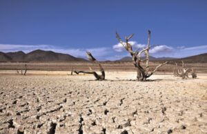 Agricultura manifiesta alta preocupación por falta de agua