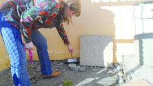 Plaga de ratones obliga a suspender clases hasta el miércoles en Escuela Arturo Prat