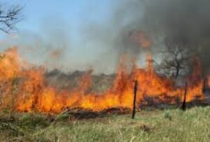 Alerta roja para la Provincia de Última Esperanza por incendio forestal