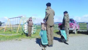 Canes de Carabineros aprobaron prueba de adiestramiento