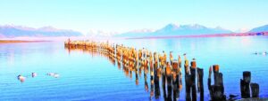 Crean la Federación de  Turismo de Magallanes
