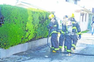 Desconocidos le prendieron fuego a un árbol en el frontis de vivienda de calle Zenteno