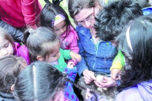 Niños de jardines celebraron  Día del Patrimonio Natural  y Cultural de la Infancia