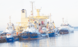 223 mil 768 toneladas de carga movilizó puerto de Punta Arenas
