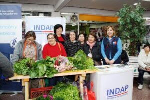 Ocho agrupaciones campesinas de Magallanes conocieron experiencias exitosas en agricultura
