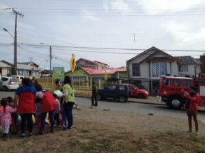 Ave que se introdujo en turbina del tendido eléctrico generó trastornos en Punta Arenas