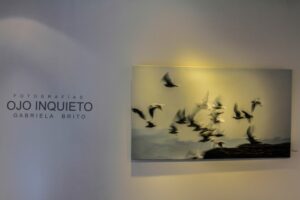 Se inauguró “Ojo Inquieto” de Gabriela Brito