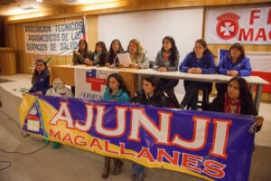 “La senadora Goic nos ha traicionado. Tuvo la oportunidad de defender nuestros derechos y no lo hizo”