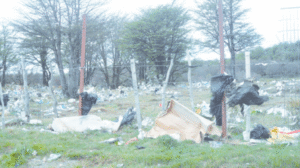 Lucha contra el uso de bolsas plásticas partió en Puerto Williams