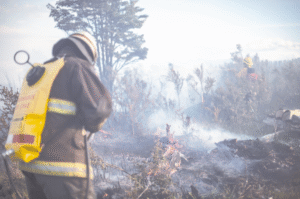 Más de 22 hectáreas ha destruido el incendio forestal en San Juan