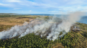 Alerta Roja: incendio forestal consumía hasta anoche cuatro hectáreas en San Juan