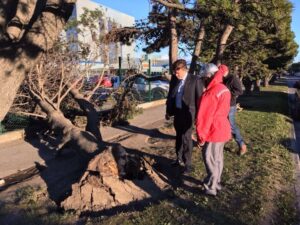 Municipalidad de Punta Arenas atendió diversas emergencias producto de fuertes vientos
