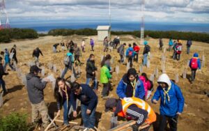 Scouts del San José y Mina Invierno reforestaron el Club Andino