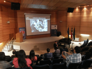 Universitarios de Chile y Argentina comparten investigaciones en la UMAG