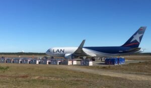 A Ecuador fueron trasladadas dos mil ovejas exportadas desde Magallanes