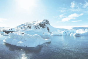 Estudian efecto de falta de Vitamina D en habitantes  de la Antártica