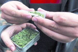 Aumentó en 7,8% el consumo de marihuana en escolares magallánicos