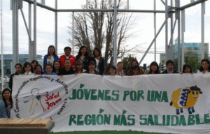 Realizan balance anual 2016 de salud joven en Magallanes