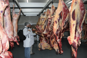 Seremi de Salud y SAG aumentan fiscalización de carnicerías