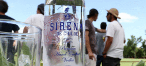 Lanzan primer vodka chileno premium: está elaborado con papas chilotas