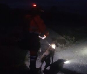 Sin vida encontraron a hombre que era intensamente buscado por familiares y rescatistas