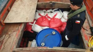 Incautación de 20 sacos de ostión del sur desconchado