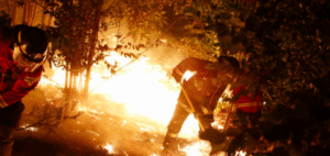 27 incendios forestales permanecen activos a nivel nacional: más de 63 mil hectáreas consumidas