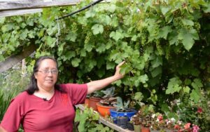 22 módulos con verduras frescas, procesados y plantas  ornamentales participan en la fiesta del emprendimiento