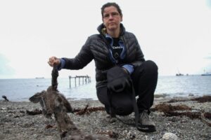 “La gente se comporta mal con  los cormoranes”, dijo Olivia Blank
