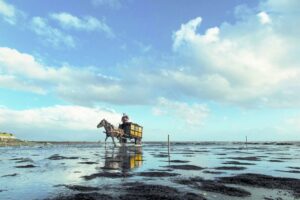 Nueva exposición fotográfica  llega a Punta Arenas