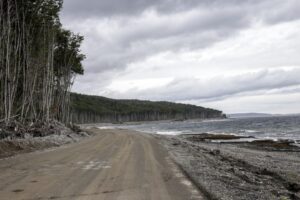 Inauguran primeros 5 km del camino a Cabo Froward