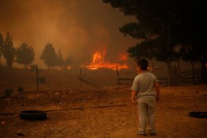 Más de 2.400 niños y adolescentes se vieron afectados por incendios forestales