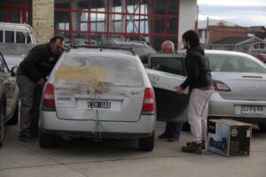 Baja de aranceles podría  afectar a la Zona Franca