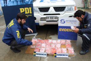 Incautan centolla seccionada que fue enviada en encomienda desde Punta Arenas