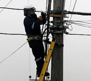 Electrificación de parcelas cambiará paisaje del sector norte de Punta Arenas