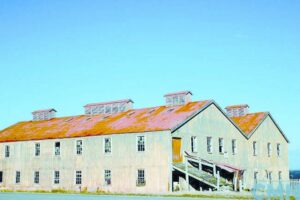 Estancia San Gregorio: un destino turístico patrimonial con lo más profundo de  la historia magallánica