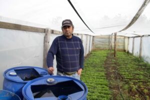 Parceleros sufren efectos de sequía y temen baja producción de hortalizas