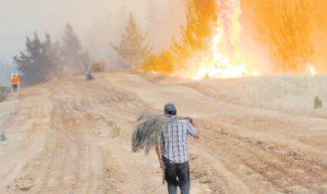 Cancelan Alerta Roja en Región de O’Higgins tras dos semanas de combate contra el fuego
