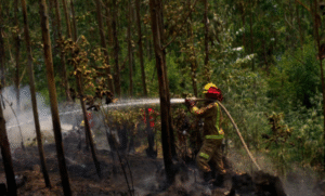 45 incendios forestales se mantienen activos a lo largo del país