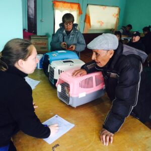 En La Junta de Vecinos Ríos Patagónicos continúan operativos felinos municipales
