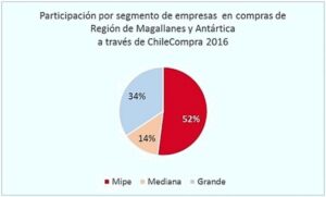 Mipes magallánicas vendieron US$ 67 millones por ChileCompra