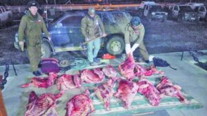 Tribunal condenó a dos sujetos  por abigeato y por receptación  de media tonelada de carne