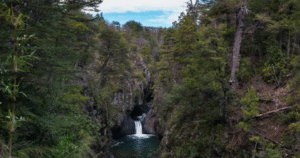 Chile promueve el turismo en importante feria de Colombia, con énfasis en regiones afectadas por incendios