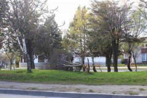 Se declara Alerta Temprana Preventiva para la Región de Magallanes y Antártica Chilena por vientos
