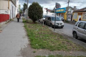 Eliminaron “pastizal” que afeaba parte de la céntrica calle Carrera Pinto