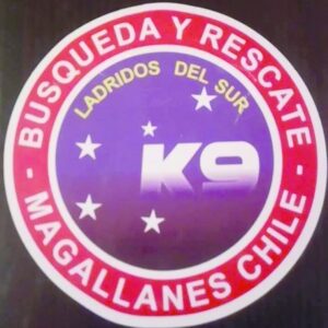 Canes de búsqueda de personas viajarán hasta el  Cajón del Maipo para sumarse a labores de rescate