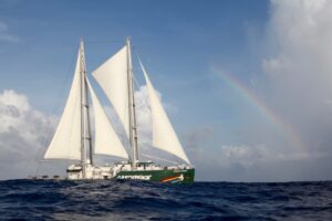 Rainbow Warrior III de Greenpeace llega este jueves a la Región de Magallanes