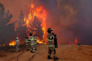 Alerta Roja en Valparaíso y Viña del Mar por incendio forestal: sectores fueron evacuados
