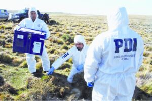 PDI descartaría intervención de terceros  en muerte de trabajador de estancia