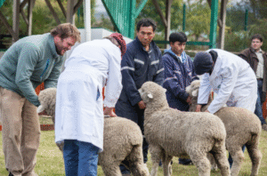 Hoy continúa Expogama con lo mejor de la ganadería regional